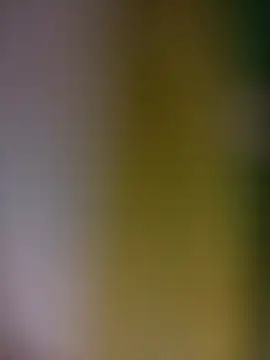 tulipsexy online show from February 2026 03:35:01 AM