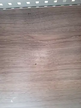 ValeriaLove43211 online show from April 2026 07:53:02 AM