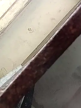 ipvk online show from March 2026 11:03:01 AM