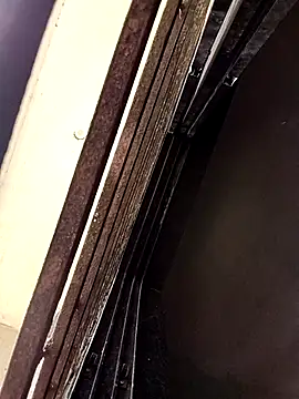 ipvk online show from March 2026 05:13:01 AM