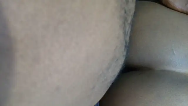 Dandelion enigman online show from October 2025 02:32:02 AM