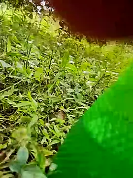 telugumodda4396 online show from October 2025 07:49:02 AM