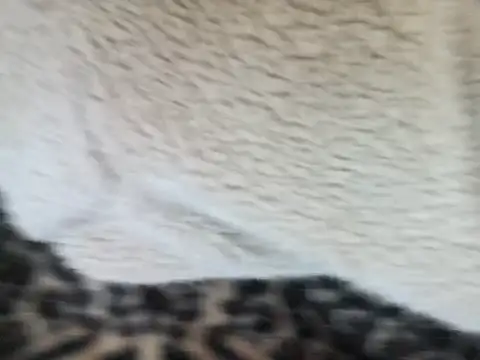 Snapshot of Harukiowo chatting on September 2025 11:57:01 AM Harukiowo online show from September 2025 11:57:01 AM