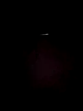 ficosi online show from October 2025 12:11:01 AM