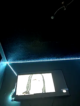 Painstickwes online show from February 2026 09:52:01 PM