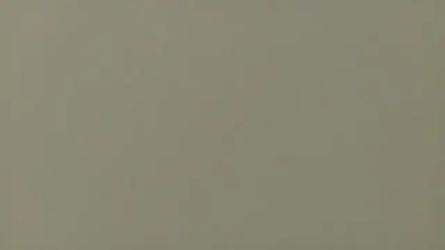 Nallah  online show from March 2026 01:27:01 PM