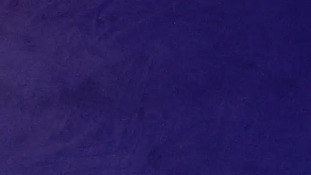 big bearr online show from October 2025 01:54:01 PM