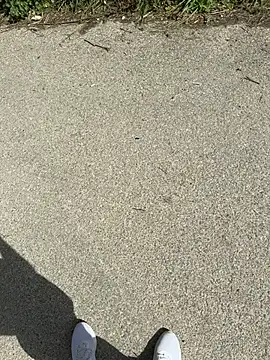 Snapshot of Italianofirenze chatting on April 2026 09:49:01 AM Italianofirenze online show from April 2026 09:49:01 AM