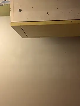 chtentation online show from December 2025 04:50:02 AM