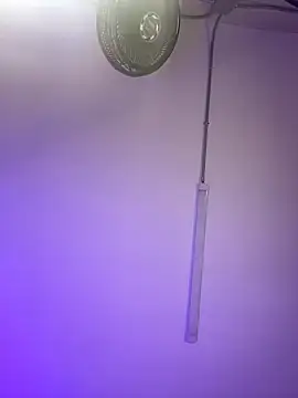 ChloeRosses online show from March 2026 11:01:01 PM