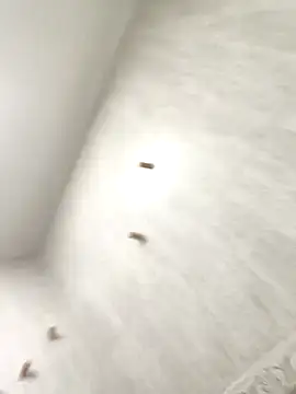 sebas sexo goloso online show from November 2025 06:45:02 AM