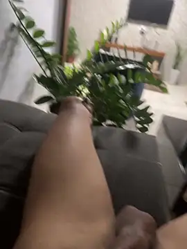 MCLZK online show from November 2025 08:11:01 PM