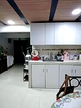 Snapshot of Alaya-15 chatting on November 2025 01:53:01 AM Alaya-15 online show from November 2025 01:53:01 AM