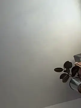 UnitedMap1 online show from November 2025 02:50:02 PM