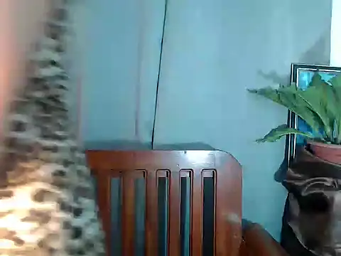 amandareddragon online show from March 2026 08:41:02 AM