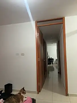 violeticafox online show from December 2025 03:46:01 AM