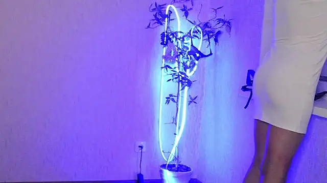 Ashley Brookss online show from December 2025 03:30:02 PM