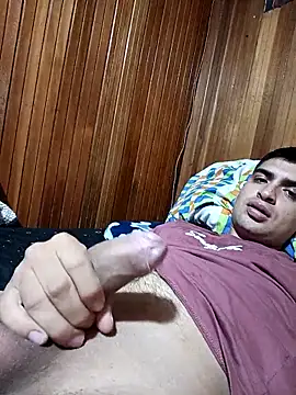 daniandr119 online show from February 2026 11:55:02 PM