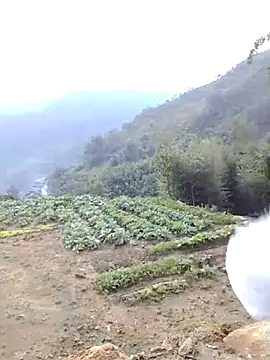 Snapshot of Bum_538 chatting on November 2025 12:21:01 AM Bum 538 online show from November 2025 12:21:01 AM