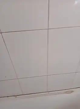 Snapshot of PhoningTint chatting on October 2025 03:22:02 PM PhoningTint online show from October 2025 03:22:02 PM