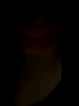 pleasedontpressaredburton online show from November 2025 01:04:02 AM