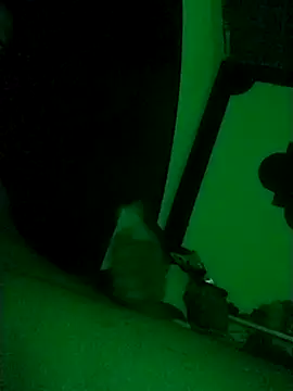 Buddha289 online show from February 2026 09:41:01 AM