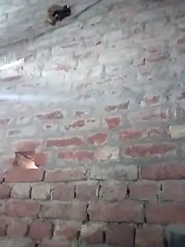 Rani 089 online show from October 2025 01:58:02 AM