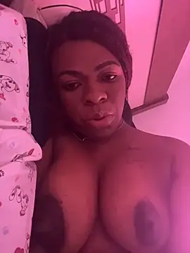 Priihmedeiros online show from March 2026 03:05:02 PM