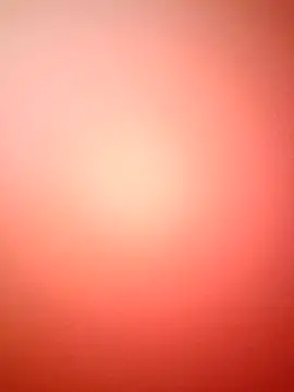 marcojans online show from December 2025 03:51:01 PM