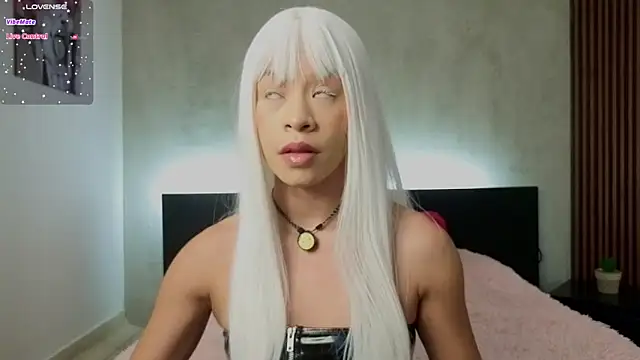 kimhilton  online show from February 2026 04:00:01 AM