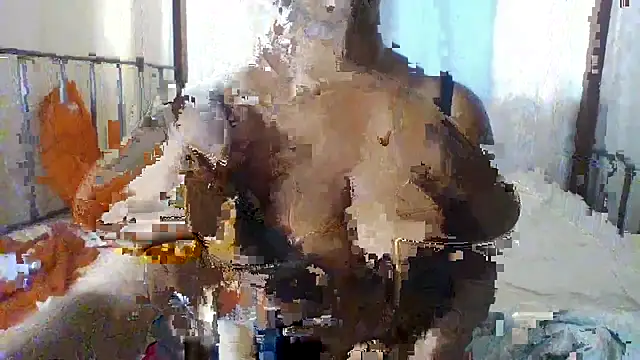 Avarimichel online show from October 2025 11:22:01 AM