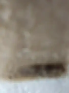 Cr sonam online show from November 2025 11:26:01 PM