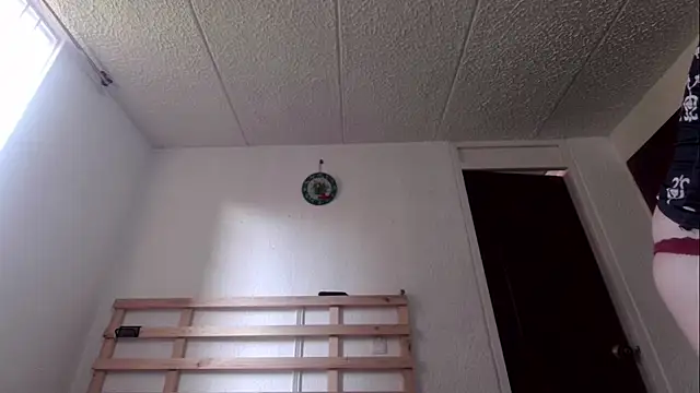 rose more   online show from November 2025 01:32:02 PM