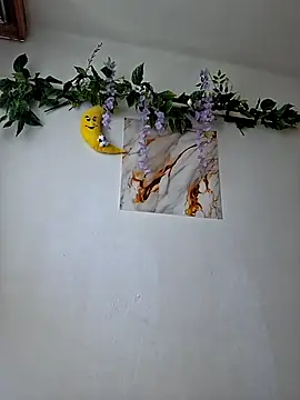 Nika aa online show from July 2026 10:41:01 AM