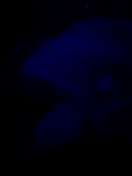 sexdol2 online show from July 2026 03:59:02 AM