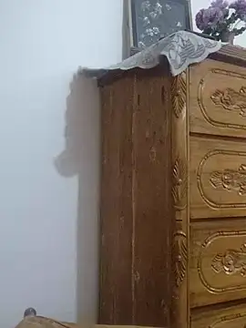 Tanha18 online show from November 2025 08:58:02 AM