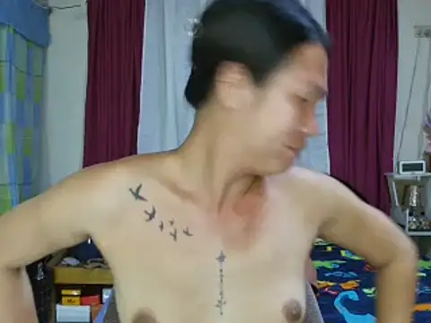 sexychekaiixxx online show from February 2026 12:23:01 PM