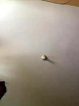 Techi0525 online show from December 2025 05:18:02 PM