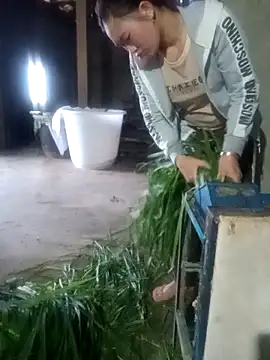 Snapshot of Myzak- chatting on February 2026 11:55:02 PM Myzak- online show from February 2026 11:55:02 PM