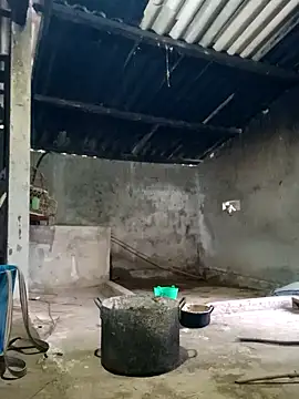 Snapshot of Myzak- chatting on February 2026 11:59:01 PM Myzak- online show from February 2026 11:59:01 PM