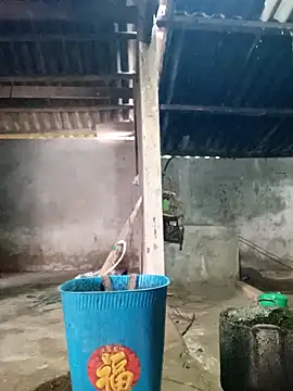 Snapshot of Myzak- chatting on March 2026 12:01:01 AM Myzak- online show from March 2026 12:01:01 AM