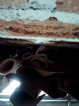 Rajni chauhan online show from February 2026 04:27:02 PM