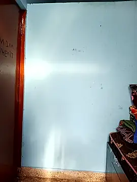 Deepa telugu online show from April 2026 10:40:01 AM