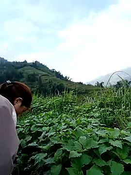 omai-ngot online show from November 2025 01:14:02 AM