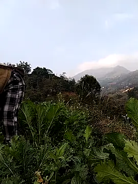 omai-ngot online show from January 2026 12:58:01 AM