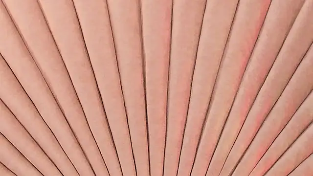 Emma duff online show from October 2025 12:01:02 PM