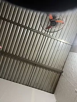 tabby-cat11 online show from February 2026 08:30:01 AM