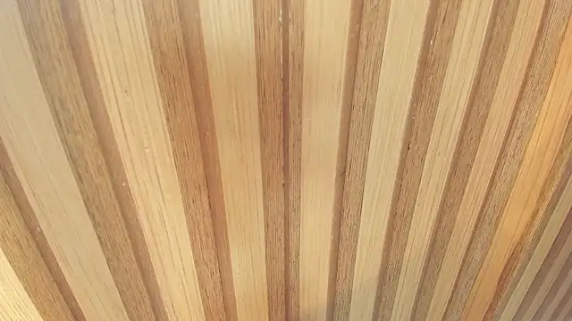 mia  blaze   online show from December 2025 03:03:02 AM