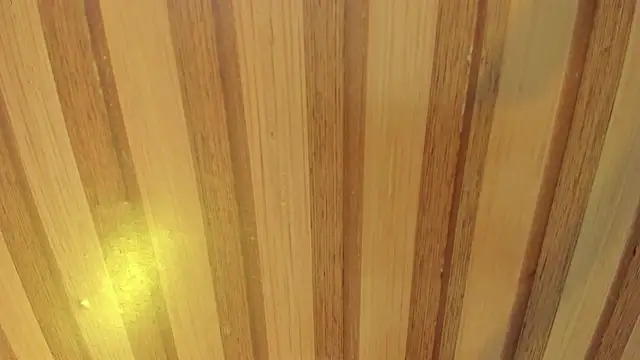 mia  blaze   online show from April 2026 02:55:01 AM