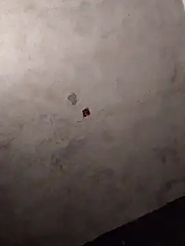 Orlao25cm online show from March 2026 08:37:01 PM